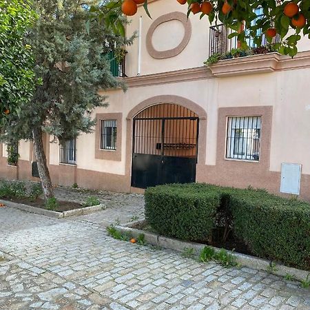 Sevilla. Gerena Casa Rural Para Familia O Profesionales Exteriör bild