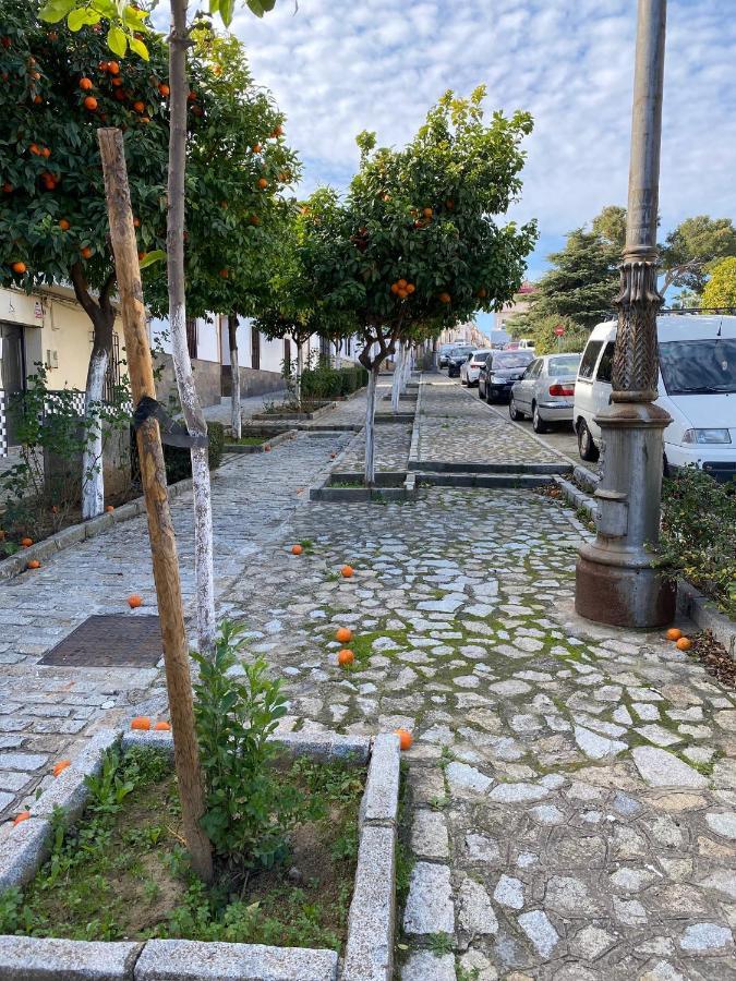 Sevilla. Gerena Casa Rural Para Familia O Profesionales Exteriör bild
