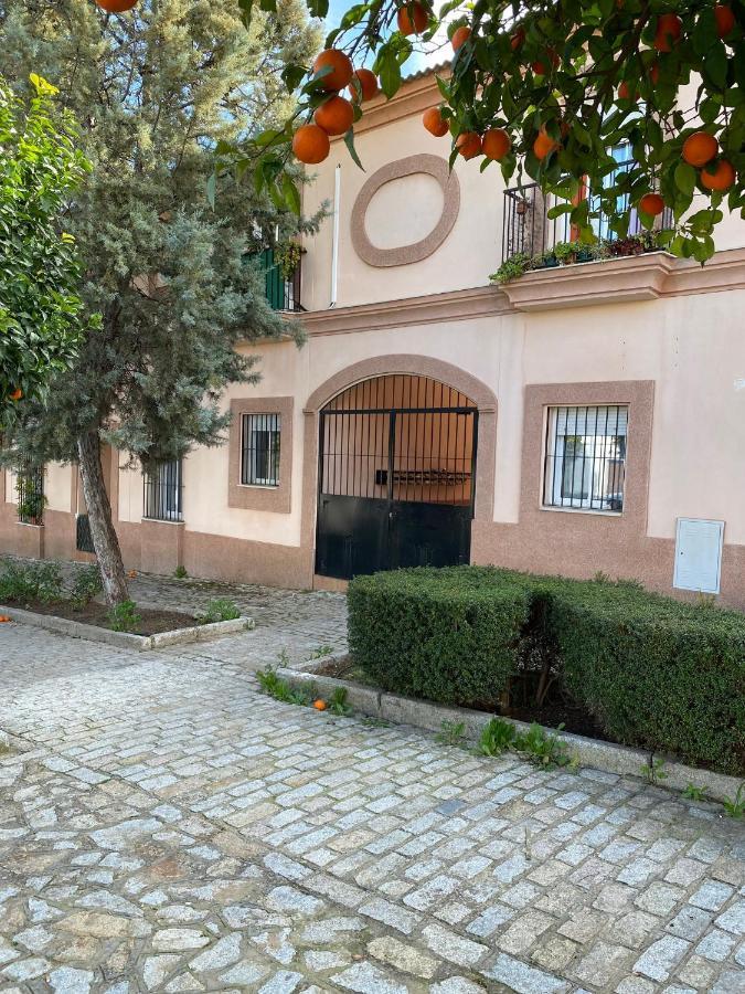 Sevilla. Gerena Casa Rural Para Familia O Profesionales Exteriör bild