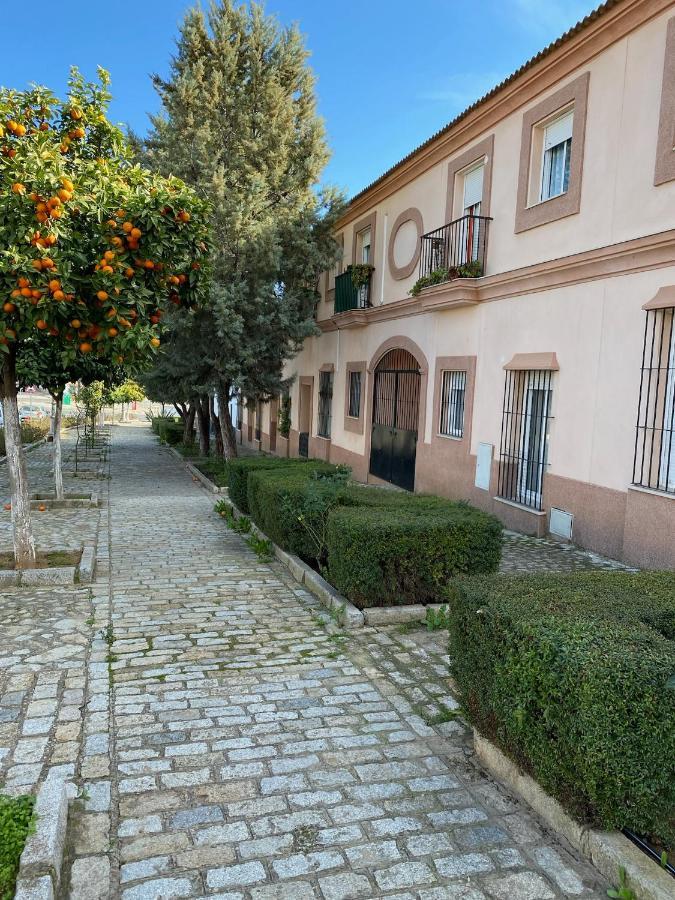 Sevilla. Gerena Casa Rural Para Familia O Profesionales Exteriör bild