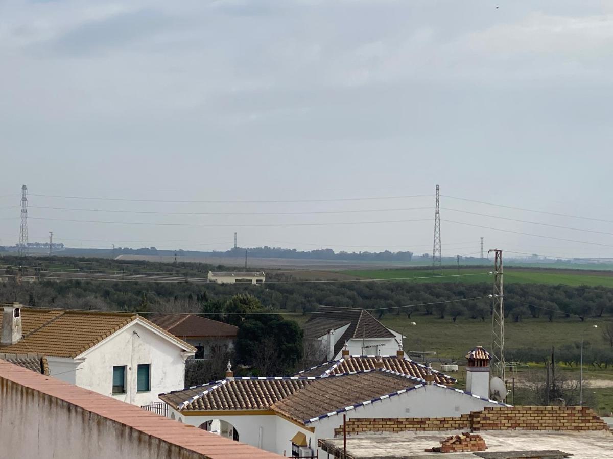 Sevilla. Gerena Casa Rural Para Familia O Profesionales Exteriör bild